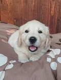Chiara auf der neuen Decke