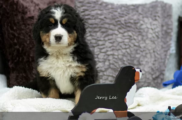 Jerry Lee