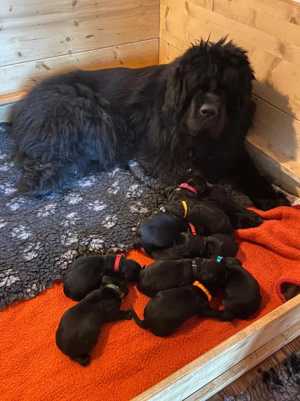 4. Mai 2020 Eine zufriedene Mama mit 10 Sprösslingen