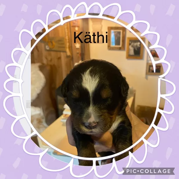 KÄTHI 11 Tage alt