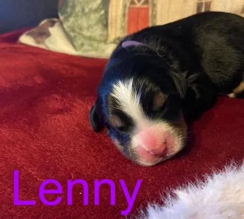 LENNY